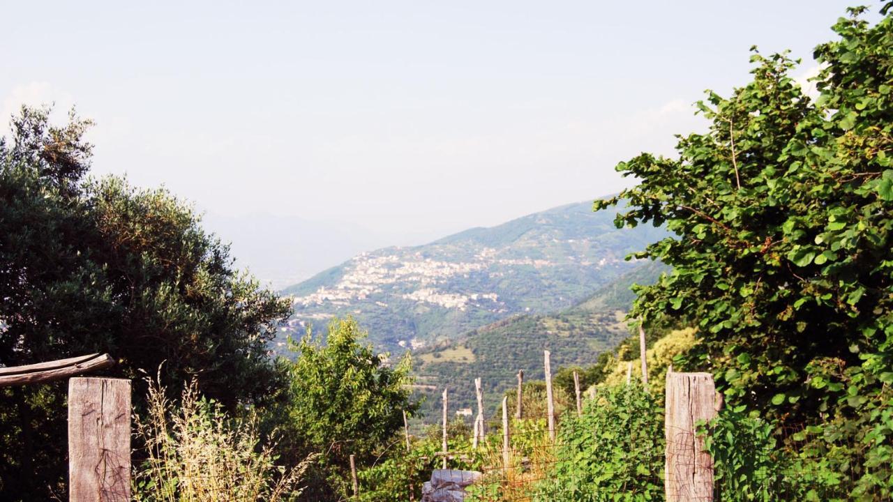 Madre Terra Villa Pimonte Luaran gambar